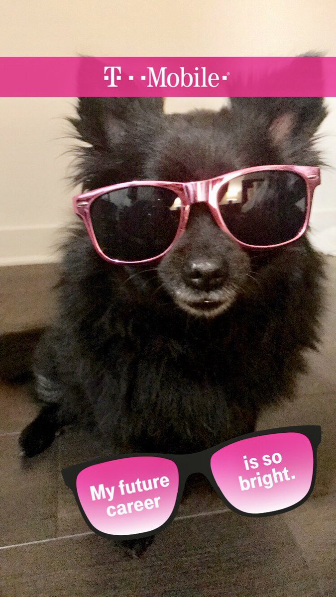 jacque_lyn618's tweet photo. Still donโt know how I pulled this off! They never stay still for pics! I think it was the @TMobile sunglasses that helped! #DogsOfTMobile ๐ https://t.co/fanc6R54ei