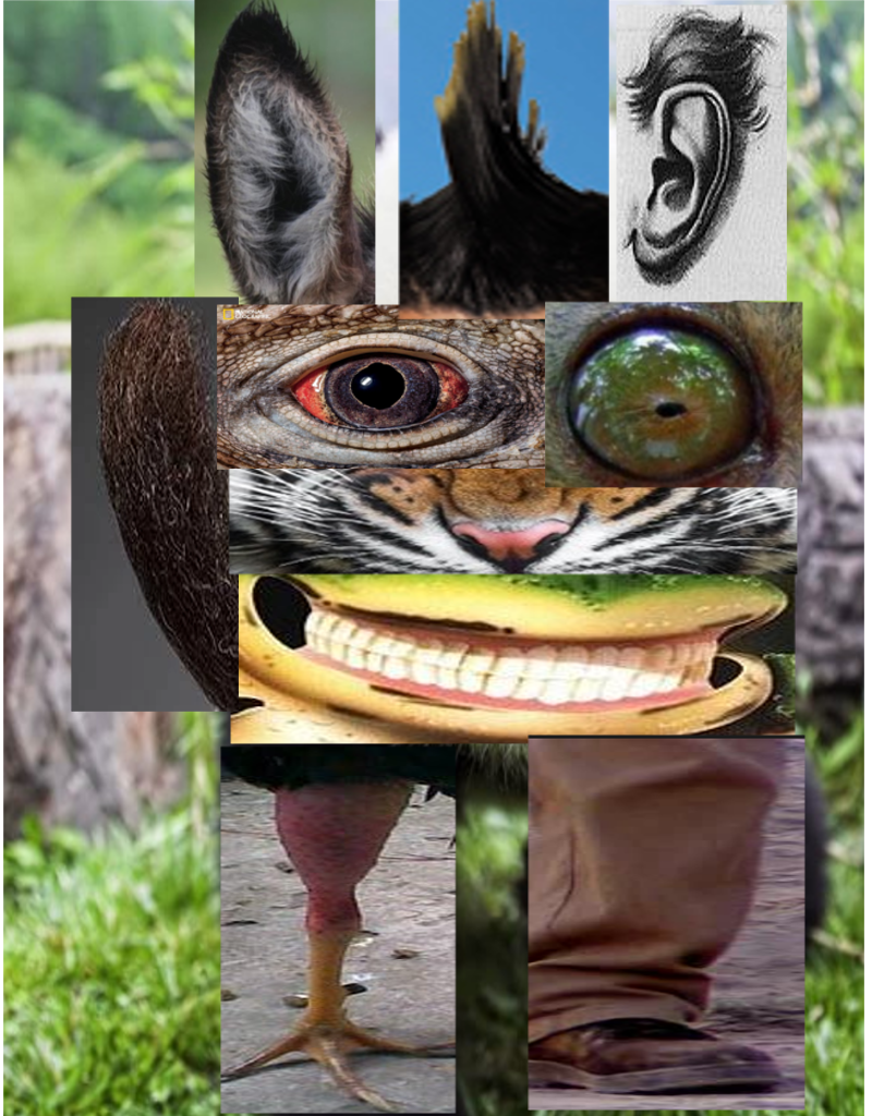 lulitaks1's tweet photo. #Mosaicoengimp ANDREA AVILA 
... EL MEJOR BUAJAJAJAJAJA https://t.co/pt9F5GxRyx