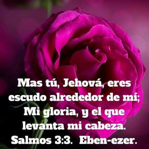MaydaAcosta3's tweet photo. Señor que nunca quitemos nuestros mirada del Dios que cada día nos equipas con inspiraciones ideas  para mostrar nuestro potencial en Dios https://t.co/vOcYbKk3Ff