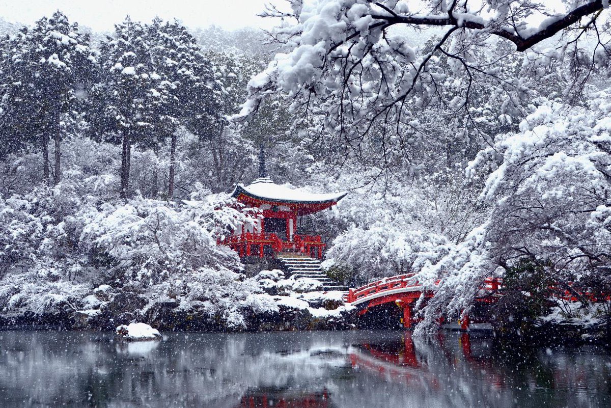 Nature_Exposed tweet picture