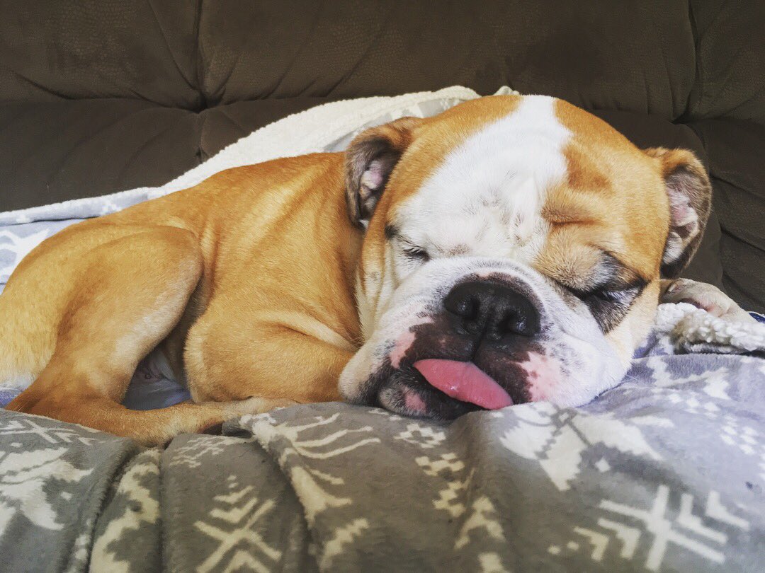 camp_peaches's tweet photo. Rainy Days...😴😴😴 https://t.co/EfgbZj06SB