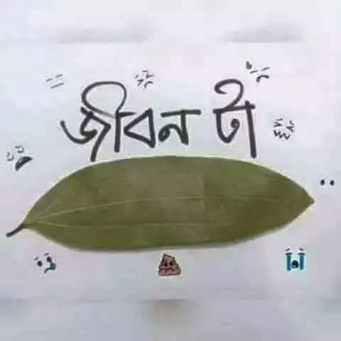 mia_eshak's tweet photo. Ha,ha ha https://t.co/hl3CKqBL5b