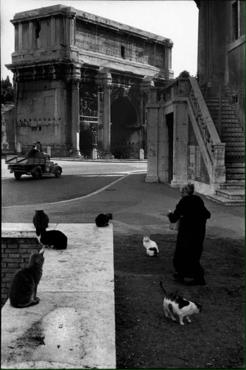 'Gatti e gattara' con pentola !
#GattiDiRoma #ForoRomano #ArcoDiSettimioSevero
#blackandwhitephoto #GrandiFotografi
📷Henry Cartier-Bresson