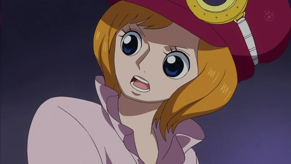 Hashtag コアラ誕生祭17 Sur Twitter