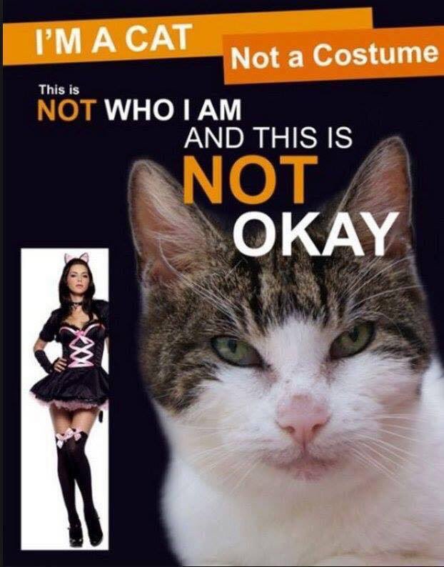SaneSpace's tweet photo. #Halloween https://t.co/MjYRlss9MH
