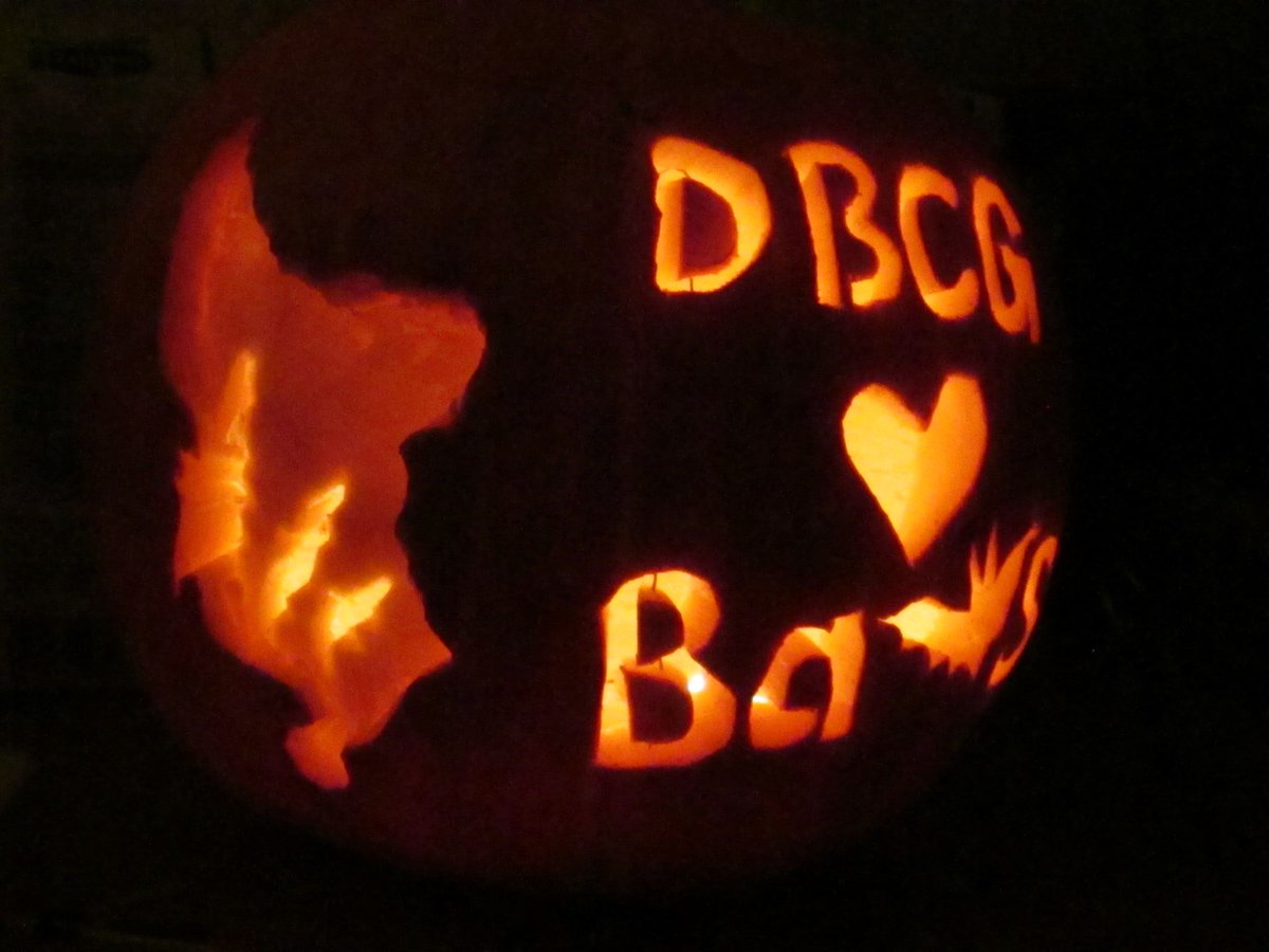 derbyshirebats's tweet photo. So who's carved a #bat on their pumpkin this year #Autumnwatch viewers?! #lovebats @BBCSpringwatch https://t.co/zQaBrI2BUa