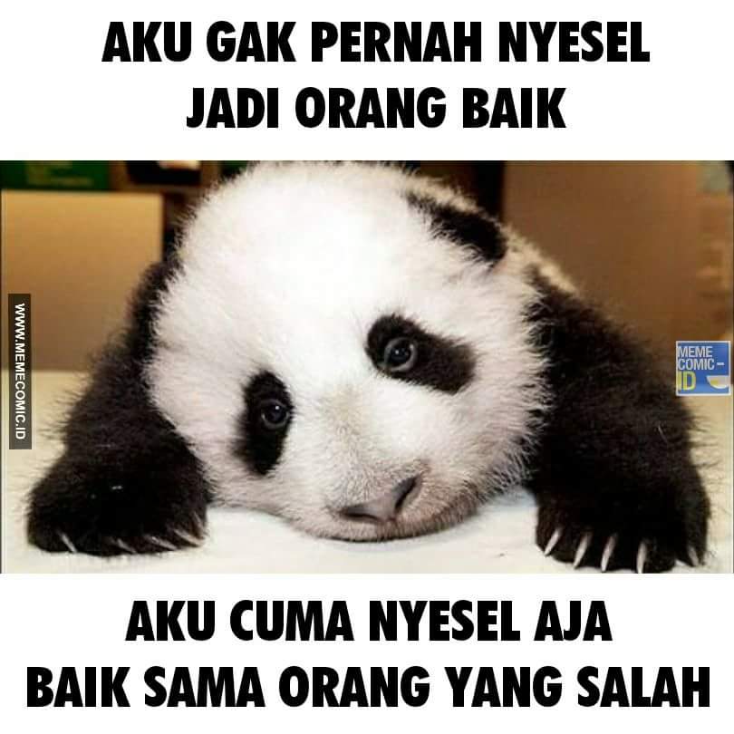 tripleK31's tweet photo. Suka lucu sih... dibaikin, tp ga tau diri. https://t.co/mD8cTi5PNa