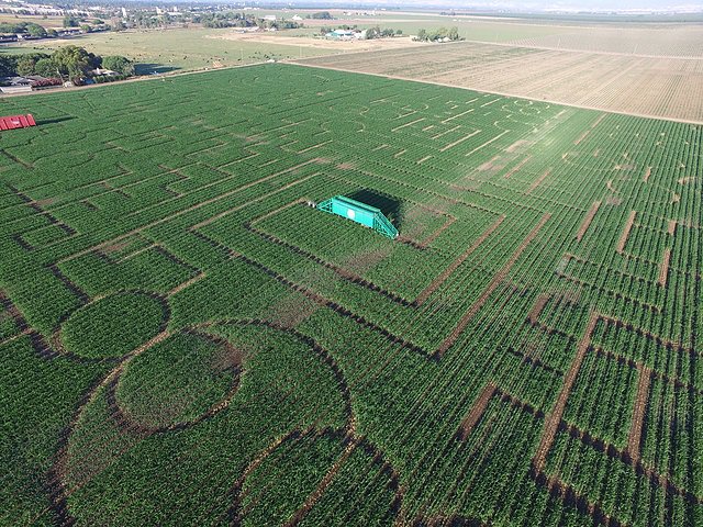 Davis Connect (@davisconnect) on Twitter photo The Guinness Book of World Record's largest corn maze is in West Dixon at Cool Patch Pumpkins! 6150 Dixon Ave <a href="/CoolPatchPmpkn/">Cool Patch Pumpkins</a> Love it! The Guinness Book of World Record's largest corn maze is in West Dixon at Cool Patch Pumpkins! 6150 Dixon Ave <a href="/CoolPatchPmpkn/">Cool Patch Pumpkins</a> Love it!