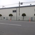 四年でツイストパーマに!？四年前と現在との比較画像がヤバイ!