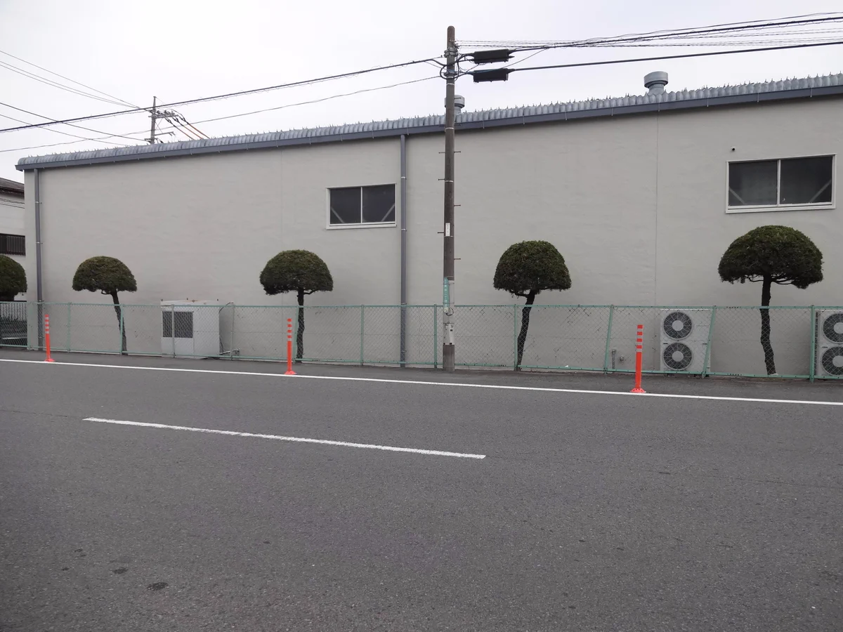 四年でツイストパーマに！？四年前と現在との比較画像がヤバイwww