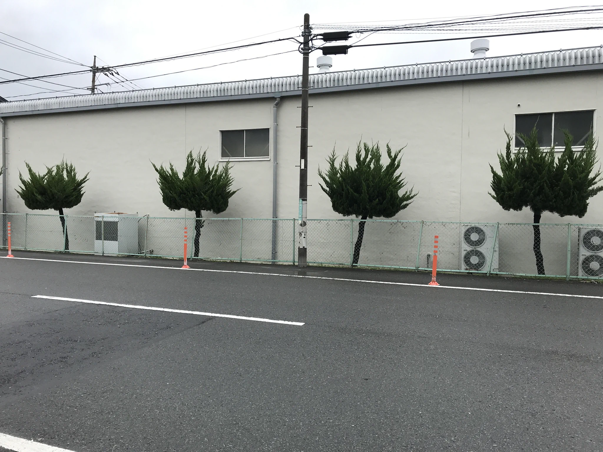 四年でツイストパーマに！？四年前と現在との比較画像がヤバイwww