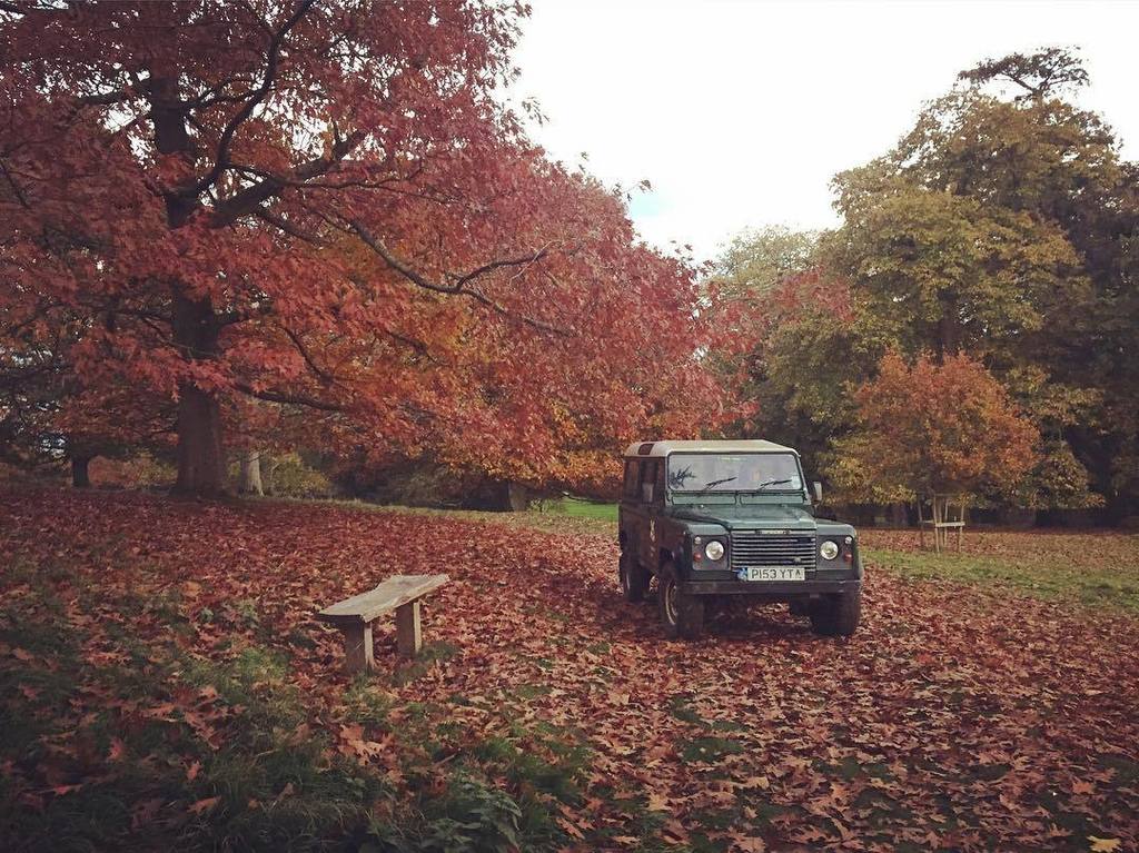 NTKillertonFash's tweet photo. Have you been for an autumn walk at Killerton yet? 
Grab your wellies ! 
#nt #autumn #nationaltrust #walkdevon #explore #exeter #killerton … https://t.co/i7TXIiEXBK