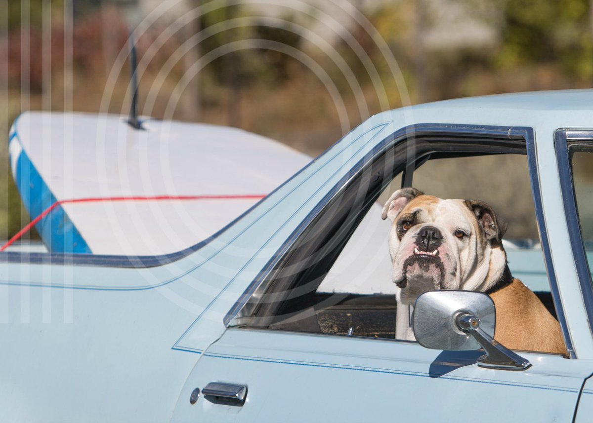 TenthMonthBend's tweet image. Ready for the ultimate #roadtrip to #BendOregon? There's still time to fill your inspiration tank during #TenthMonthBend!