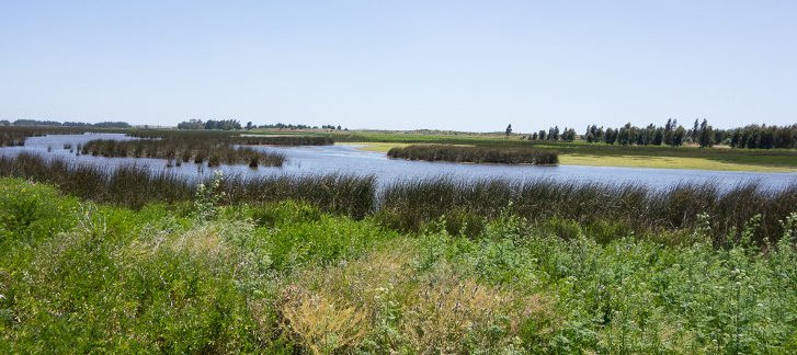 BUENAS NOTICIAS!! Ayer se aprobó la creación de santuario de naturaleza "Humedales de Putú". Muy buena decisión!! #ConlaConfianzadeSiempre