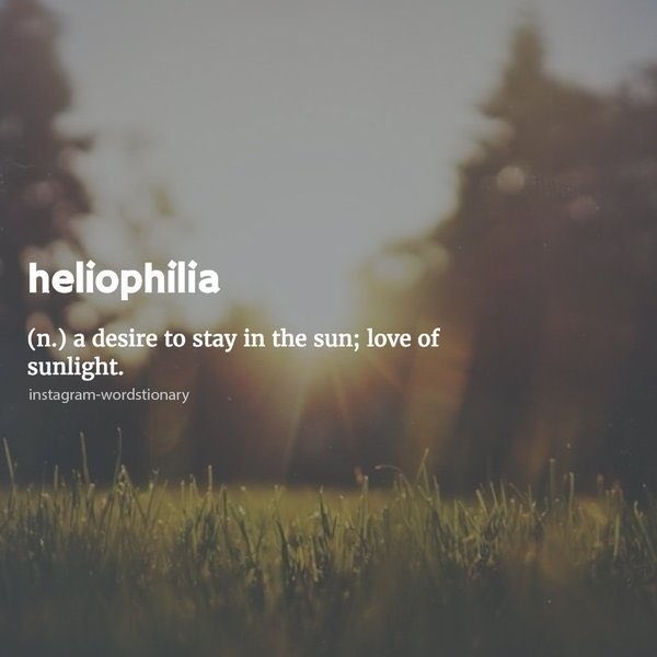 —ᎾF ᎪᏢᎾᏞᏞᎾ—
   —#PJORP 
      —New OC
        —Detailed/Literate
           —Rt?