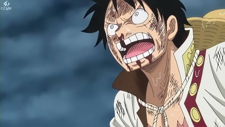 World Of 1 Piece Worldof1piece Twitter