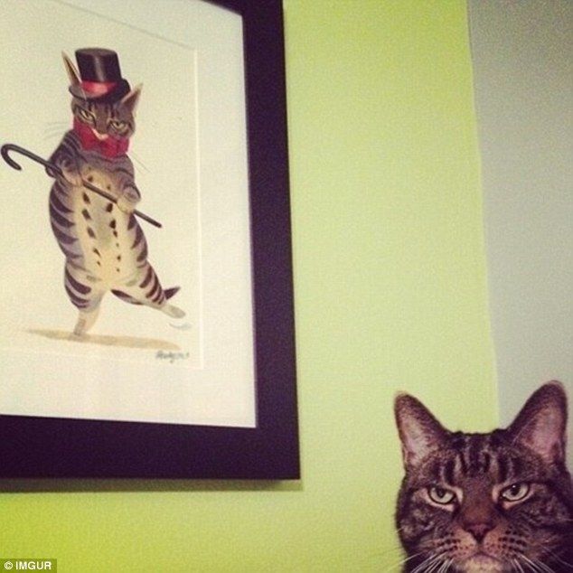 BeyondAdorable's tweet photo. I fail to see how this is funny https://t.co/g5NbwZSRwU