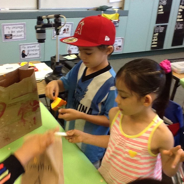 MrsKristenMay's tweet photo. Pumpkin investigations have begun! How many seeds are in a pumpkin? @ADES_SMUSD https://t.co/cq1j6J7vGH
