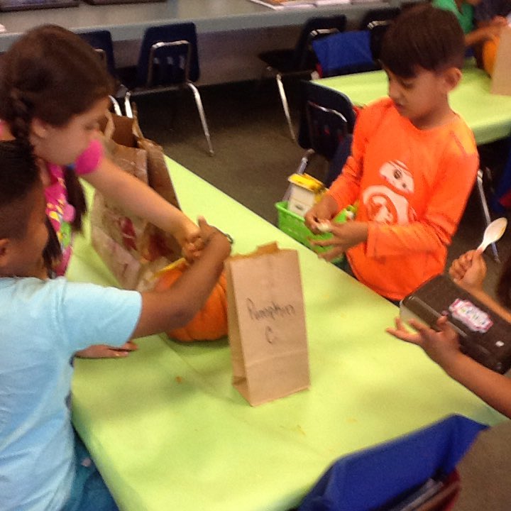 MrsKristenMay's tweet photo. Pumpkin investigations have begun! How many seeds are in a pumpkin? @ADES_SMUSD https://t.co/cq1j6J7vGH