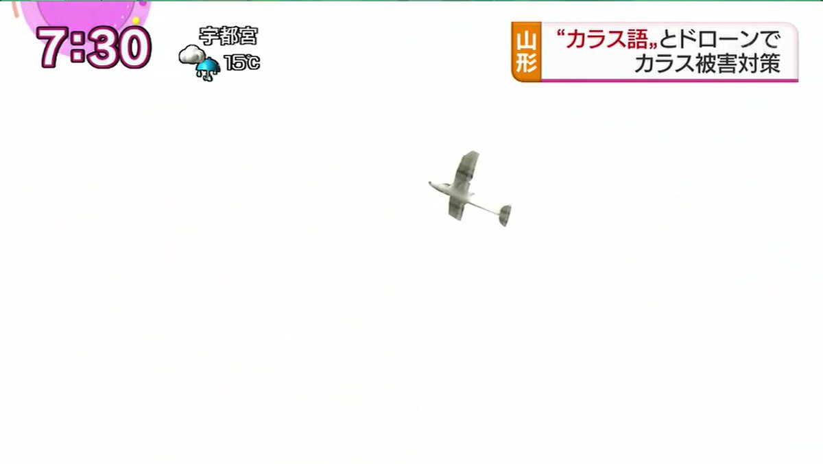 猫又にゃぉ助 宿毛湾泊地所属提督 V Twitter ドローンからカラス語を流して カラスをおびき出す実験 ぶーん 見たことのないドローンにカラスたちは大混乱 ｗｗｗ 塚原先生 頑張ってくださいw Nhk おはよう日本 感じ方には個人差があります