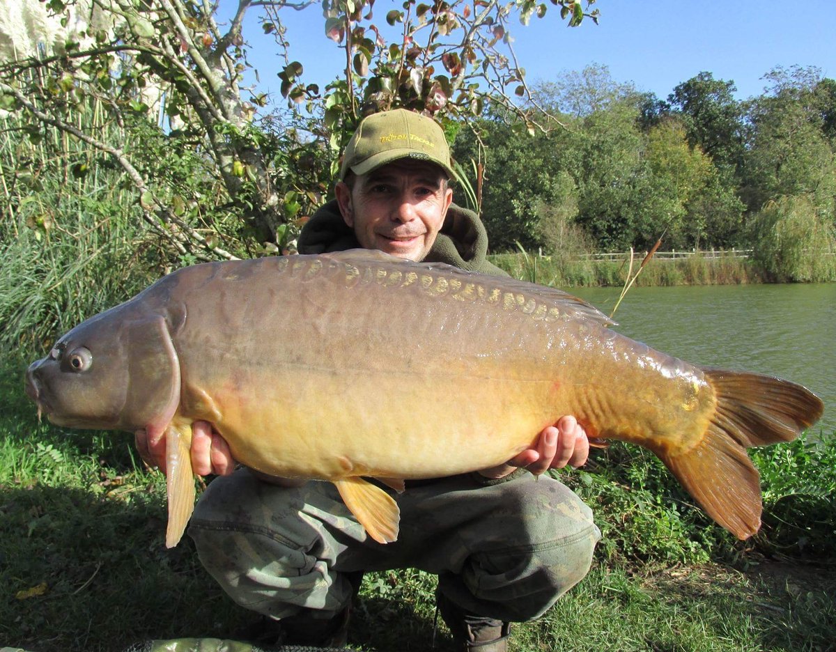 LeeThom79608424's tweet photo. 21.08lb #baitmonkeybaits #teamsharptackle #teamhardcore #mattpukkaparticles #teamtritontackle https://t.co/5QZ4ktPS3Q