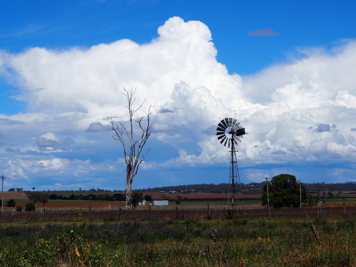 Pennytrvlwriter's tweet photo. Australia - my backyard. @Queensland #Australia @TheTrvl_Writers #photography https://t.co/lhzcUeQkx8