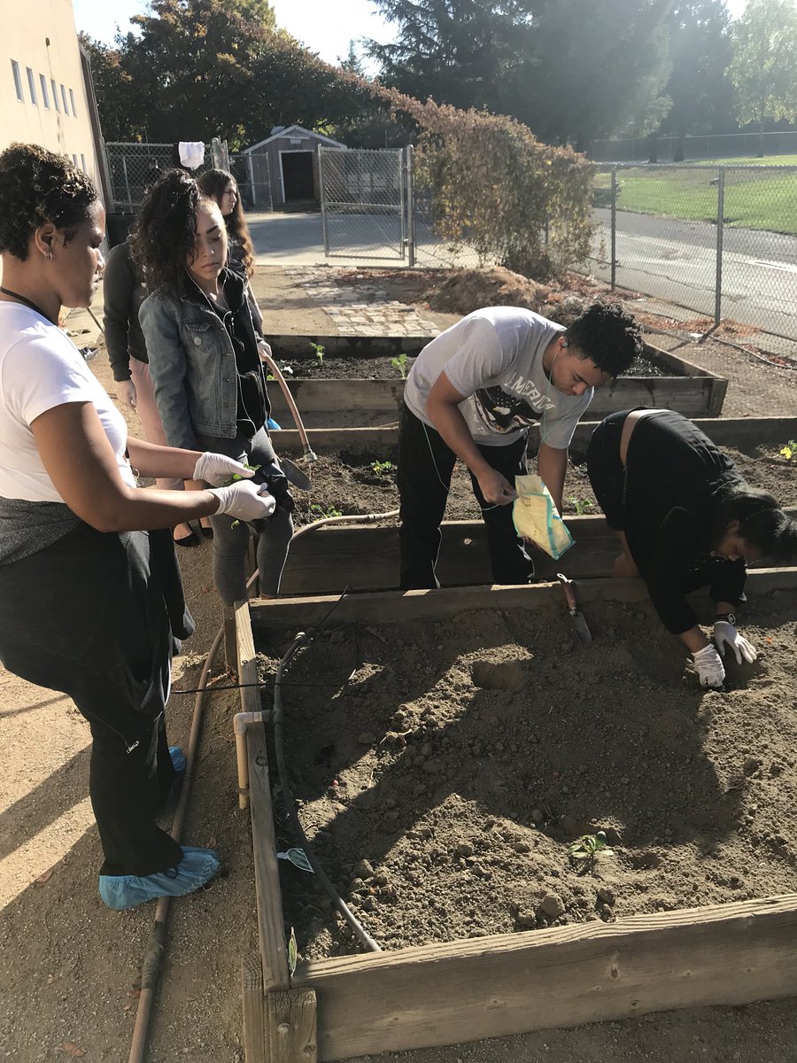 DHSchefmitchell's tweet photo. DHS Culinary getting in their cold weather crops! https://t.co/8oaBGduh62