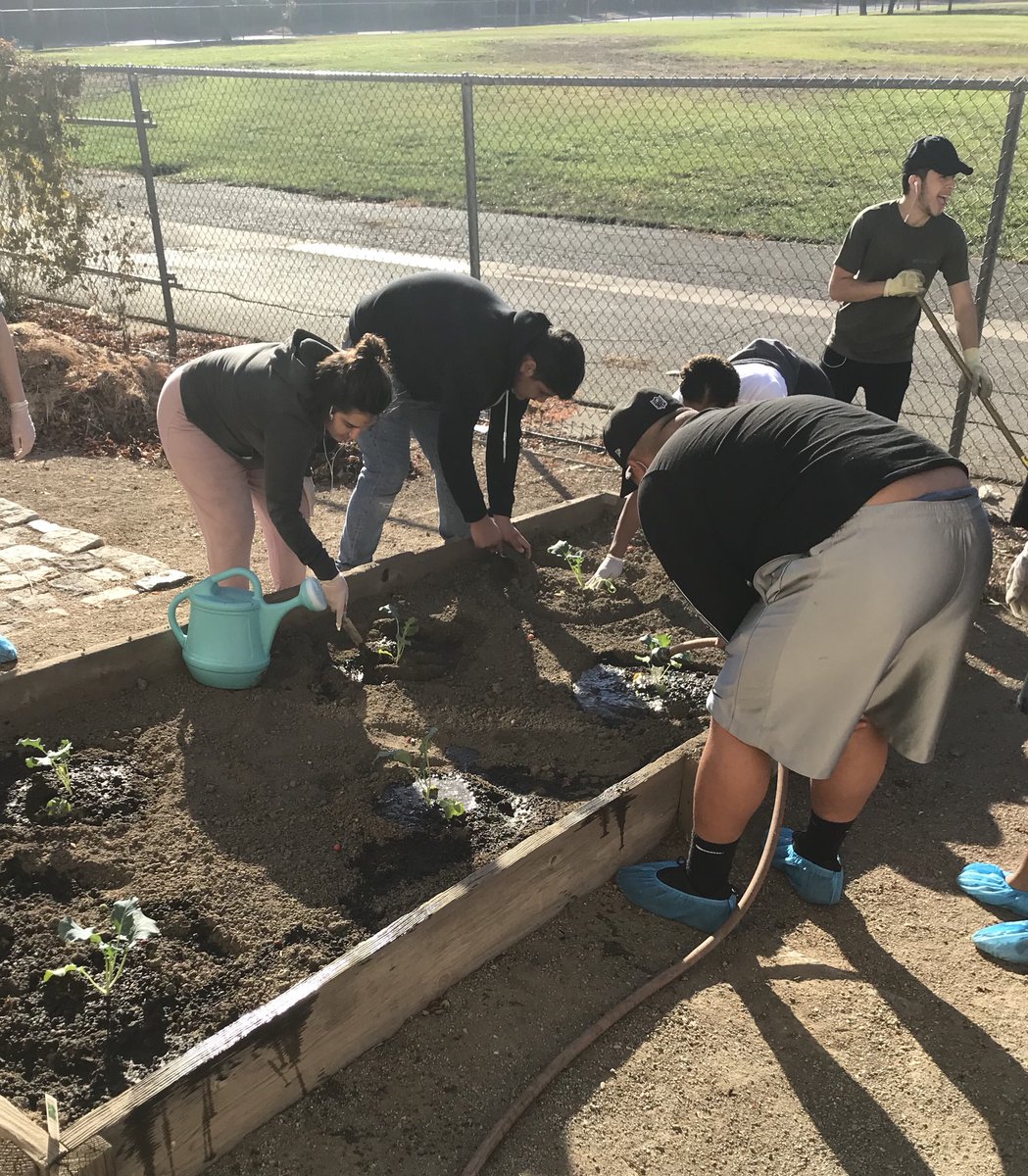 DHSchefmitchell's tweet photo. DHS Culinary getting in their cold weather crops! https://t.co/8oaBGduh62