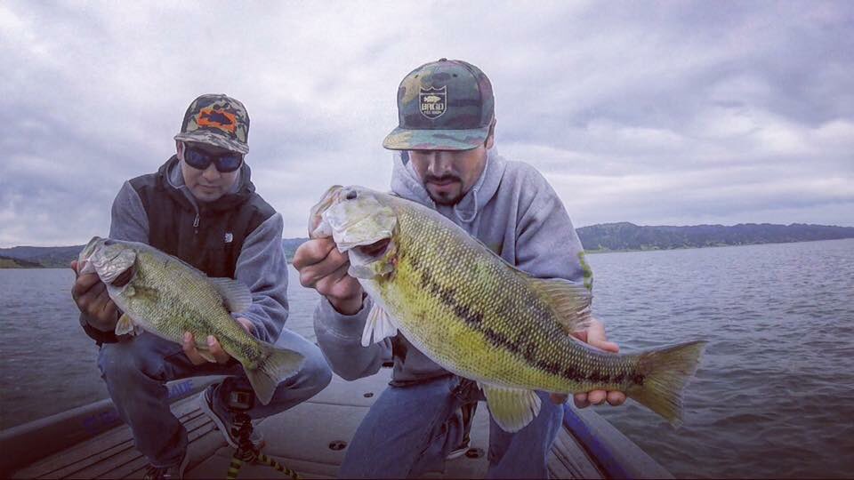 El_mas141's tweet photo. The old double hook up
#bass #bassfishing #fishing #basselite #Bassmaster #bassblaster #basspro #bassbrigade #tacklewarehouse #Fishingislive https://t.co/7g8WF3FCaQ