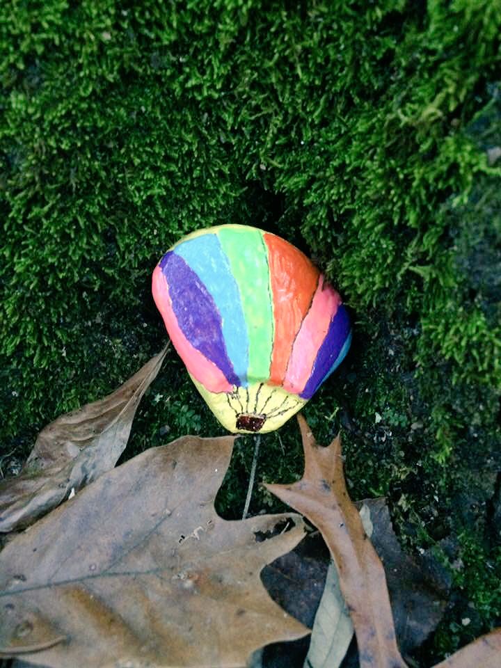 rvarocks804's tweet photo. Brandy found this one at #DeepRunPark! #rvarocks #rva #rvarocksofficial #paintedrocks #rockart #community #keeporhide #spreadkindness https://t.co/qrc79M0t7F