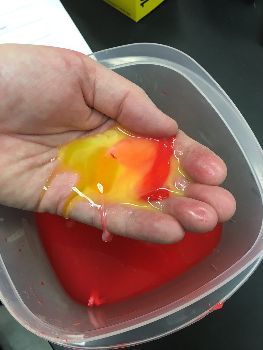 MrsEimers's tweet photo. Naked (no shell)🥚osmosis exp. shows selective permeability of cell membranes for gr 8 bio unit. #engagedsci #handson #cool😎 @OLVSchoolNews https://t.co/K5klT7MbZY