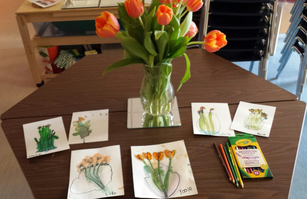MrsMarinuzzo's tweet photo. Still-life sketches of tulips by Year 2 Kinders! Tomorrows lesson will focus on the use of watercolour pencils to add greater depth. #stsmm https://t.co/8jtwx0hiMN