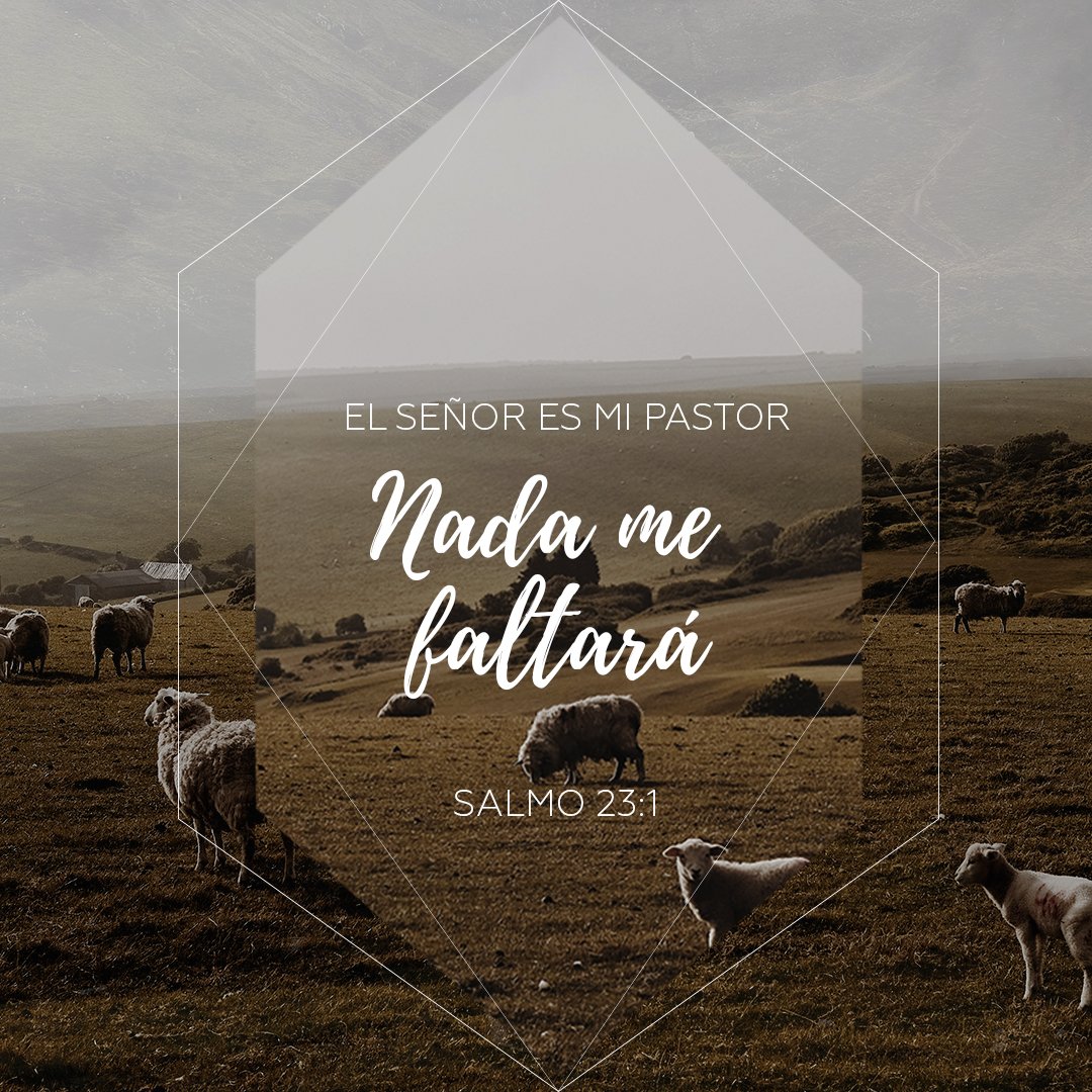 CamposAlex's tweet photo. Salmo 23:1, ¿qué necesitas? Ora creyendo esta verdad. https://t.co/ciPYwkoOmC