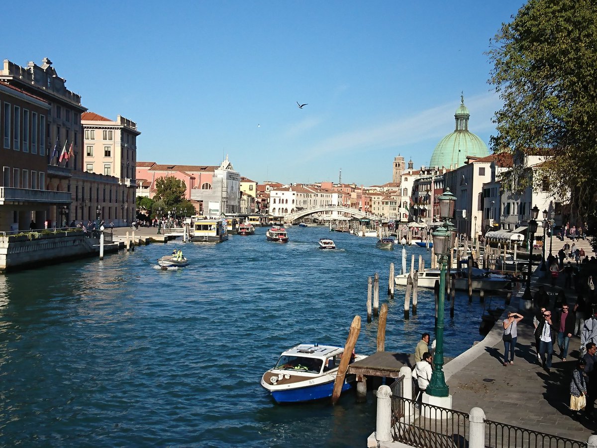 LucieLevel's tweet image. 🎭