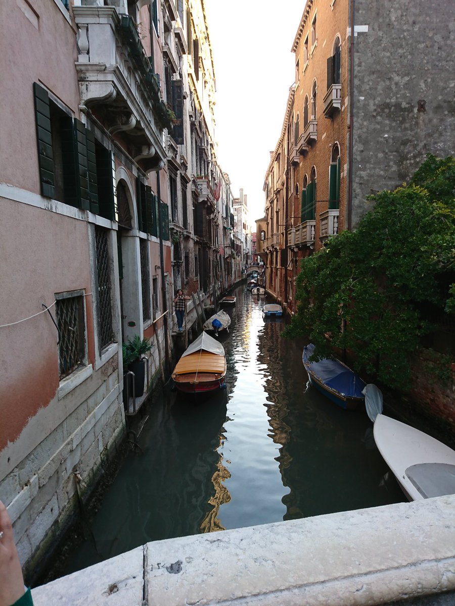 LucieLevel's tweet image. 🎭