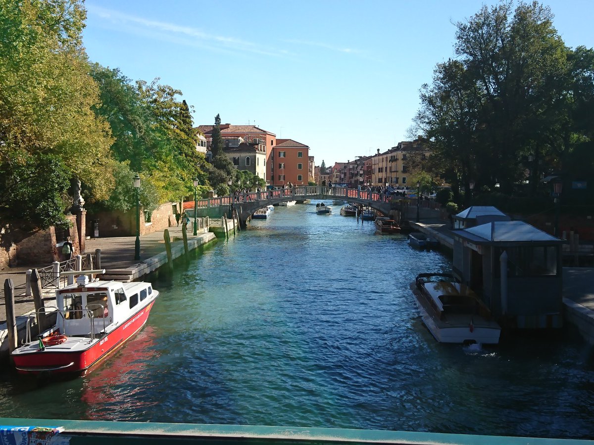 LucieLevel's tweet image. 🎭