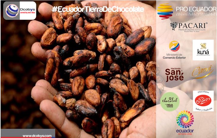 #EcuadorTierraDeChocolate Ecuador ocupa el cuarto lugar en la producción mundial de cacao, detrás de Costa de Marfil, Ghana e Indonesia