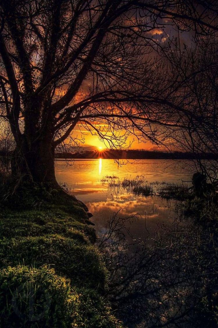 __peacepoet's tweet photo. @TT4F_Elite @TabletWallpaper @ScarfaceQbc @Quinnqueens @V2_N_St0 @WallpapersUK #TT4F #TagTeam4Friends #TmSMILE😃 @TabletWallpaper @omniajen @ScarfaceQbc @Quinnqueens @V2_N_St0 @WallpapersUK https://t.co/eMw6IssTF4