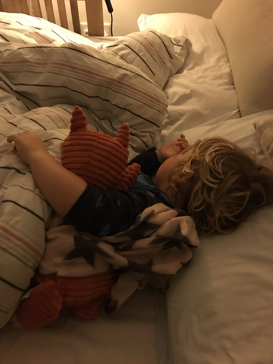 Amber_Cotgreave's tweet photo. Had the best road trip with this little chap. #uk https://t.co/ikhuYaGsRl