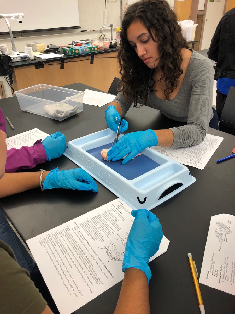 GWCPWarriors's tweet photo. #Anatomy and #physiology students dissect chicken wings to see how the muscular and skeletal systems interact. #gotchicken? https://t.co/cAvjPO3Kth