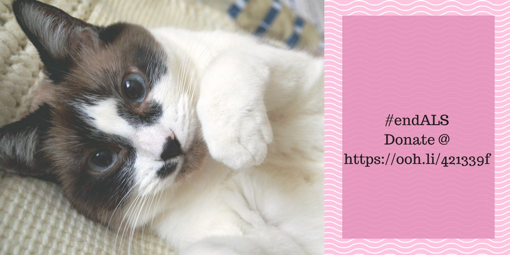 MardeneC's tweet image. Support the #WhatWouldYouGive Campaign and #endALS today
Donate ooh.li/421339f  @ALSTDI 
conciergelibrarian.com/2017/10/24/als…