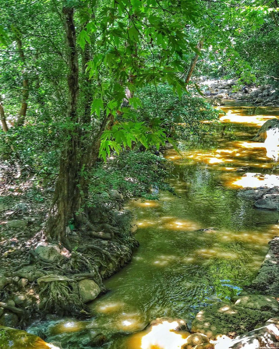WeAreLebanon's tweet photo. Nothing but breathtaking greenery in #Rechmaya
By @rawadthenomad #WeAreLebanon https://t.co/liWdOicv5X
