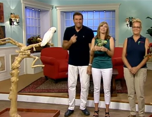FlaBirdSanct's tweet photo. Feeling the love, as we say goodbye... the story of Floyd the #parrot https://t.co/petyXedQ1k @JerryPenacoli @cyndiondaytime #TheBirdMother https://t.co/ainsZ0j2Dp