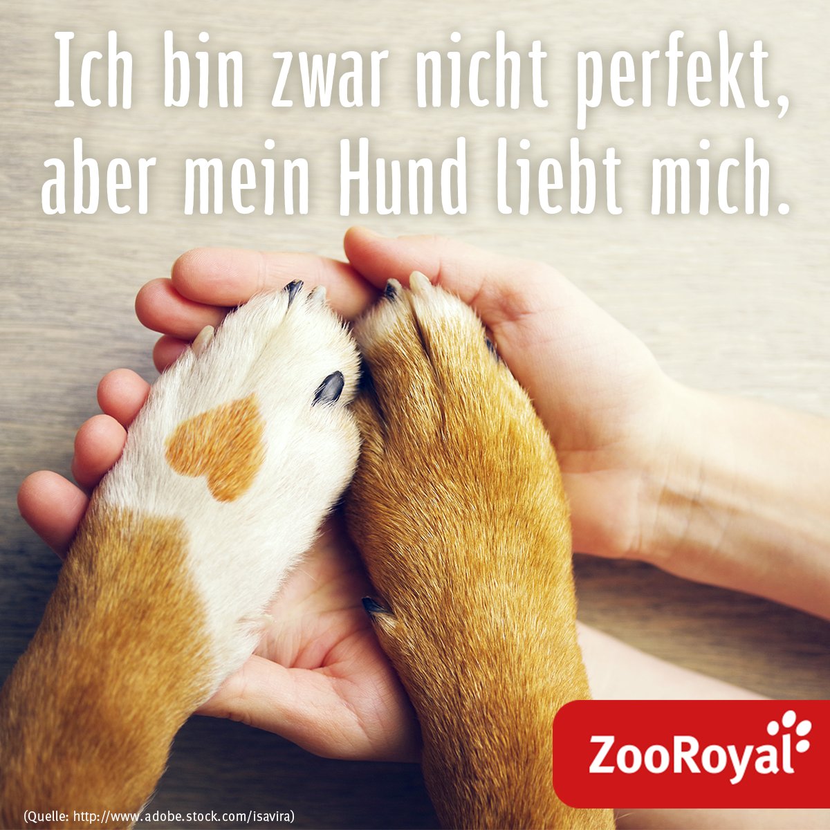 zooroyal's tweet photo. Und das ist alles, was zählt. 🐶❤ https://t.co/sYOBlHHULi
