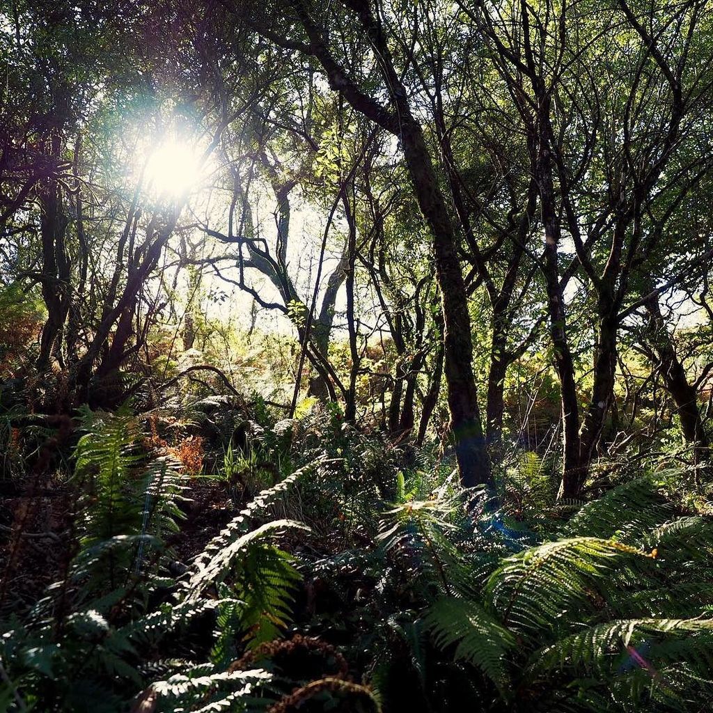 Na Geira Romana [!]
.
.
.
#hiking #geiraromana #geres #family ift.tt/2gGkQqH