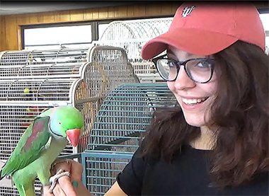 FlaBirdSanct's tweet photo. Feeling the love, as we say goodbye... the story of Floyd the #parrot https://t.co/petyXedQ1k @JerryPenacoli @cyndiondaytime #TheBirdMother https://t.co/ainsZ0j2Dp