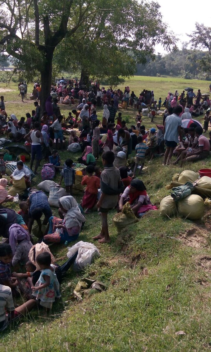 umar77_farooq's tweet photo. The #Burmes government is looking for ways to stop #Rohingya's return, and their land is being #occupied. https://t.co/Qucx3g7t5B