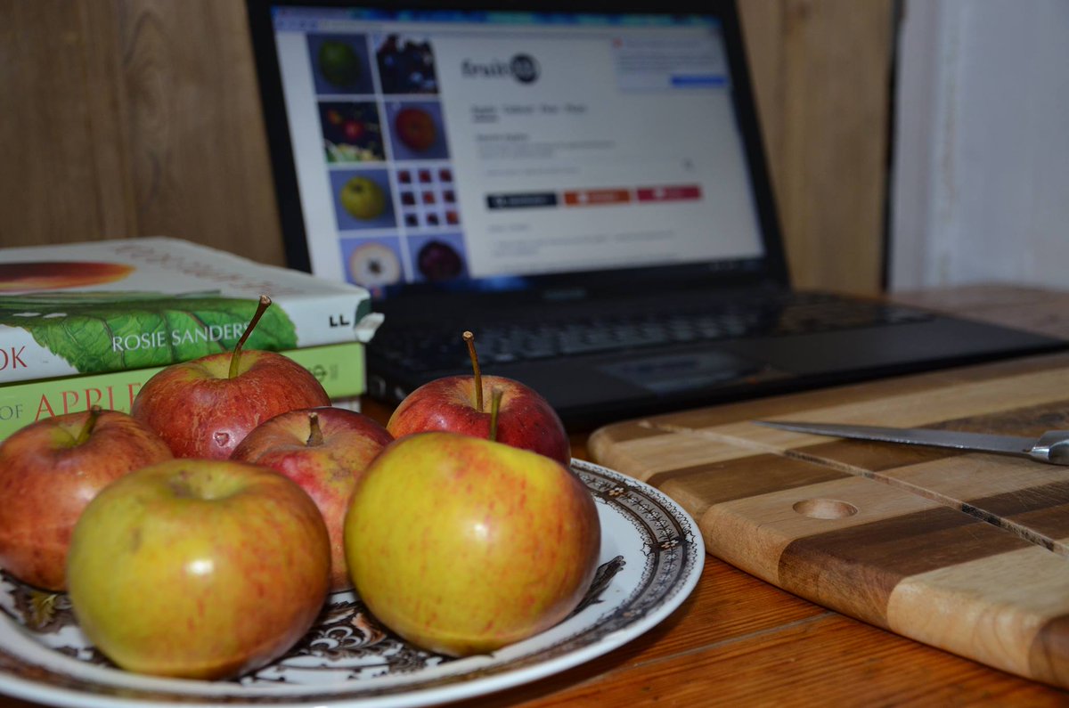 LetsGrowToBham's tweet photo. #AppleIdentification @Cate_Dearn @thetamevalley @InfoCet @BalsallHeathCF @WalsalArboretum @tembosaba @rogerbhx @TaijaVigilia @park_hollies https://t.co/dYI5kBxEV9