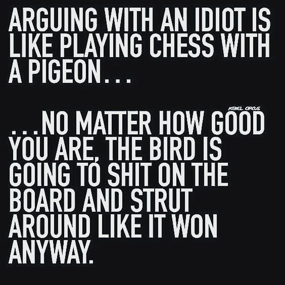 stellaallwright's tweet photo. Reposting @solomonmelaniebeth:
#joke #lol #yettrue #quote #quotes #words #life #funny #qotd #lifequotes #humour #humor #idiots #arguing https://t.co/l0Ud3FHDx7