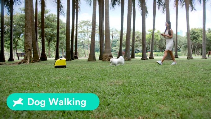 biz_nooz's tweet image. Buddy Your Dogs New Robot Friend! techmash.co.uk/2017/10/24/bud… #Buddy #Robot #BuddyRobot #Dog #DogsBestFriend #DogWalker #DogFeeder #NewRobot